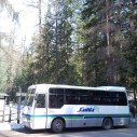 Shuttle service to the town center and the ski-lifts